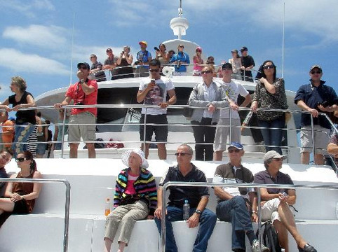 Sea World Cruises-黄金海岸必去景点