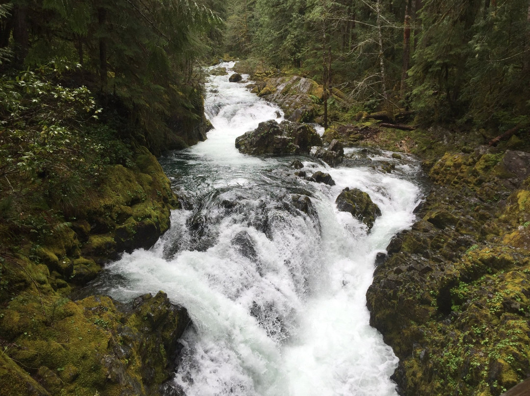 Opal Creek Wilderness Area景点图片