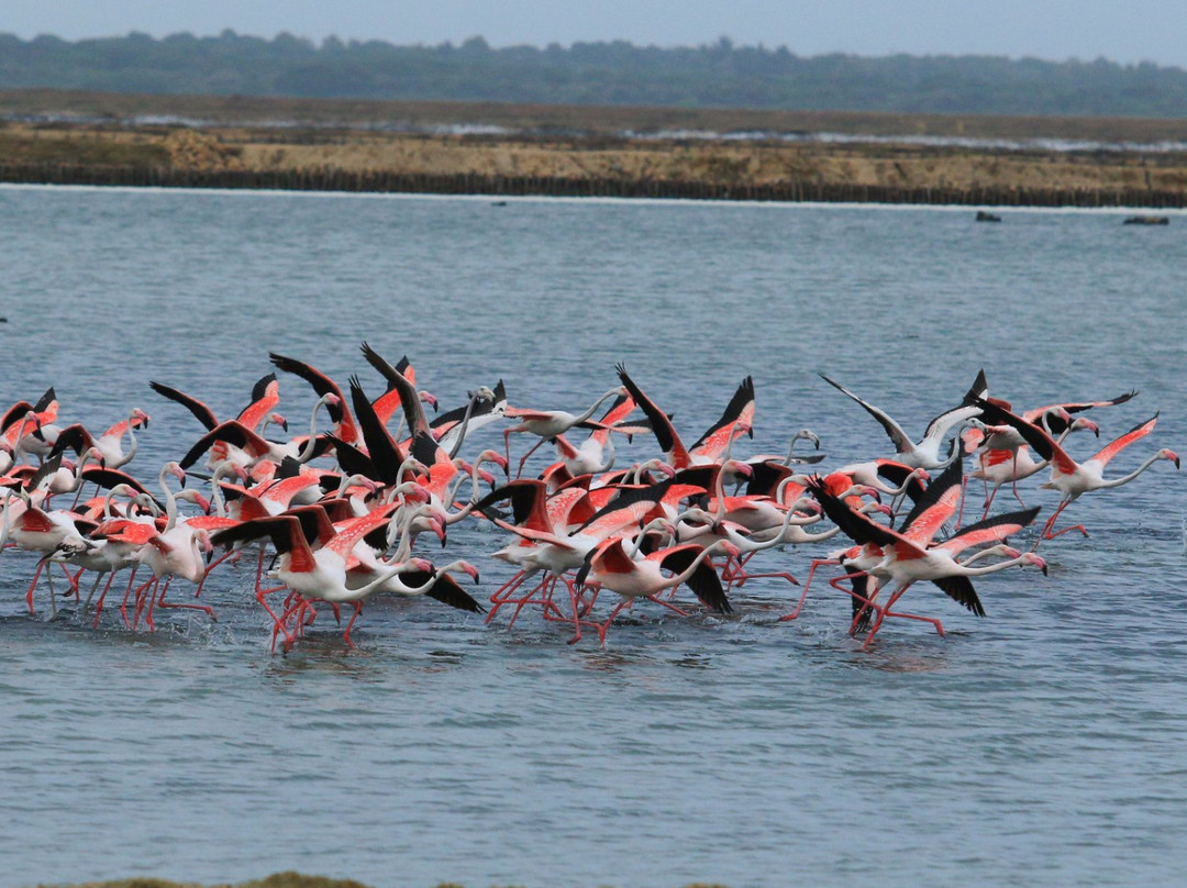 Weligatta旅游攻略图片