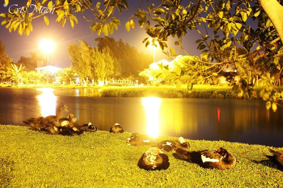 Imbe旅游攻略图片