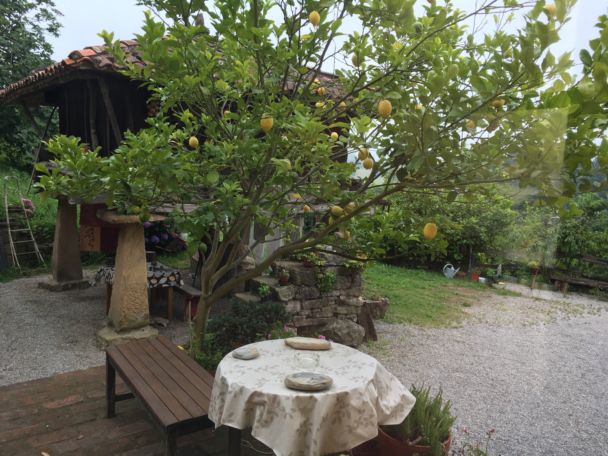 Casa Rural Trebol 4 Hojas-官方