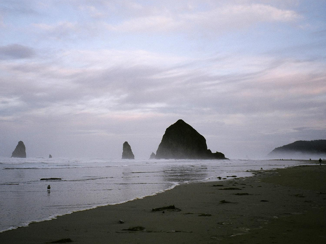 Arch Cape酒店住宿-灰鲸酒店