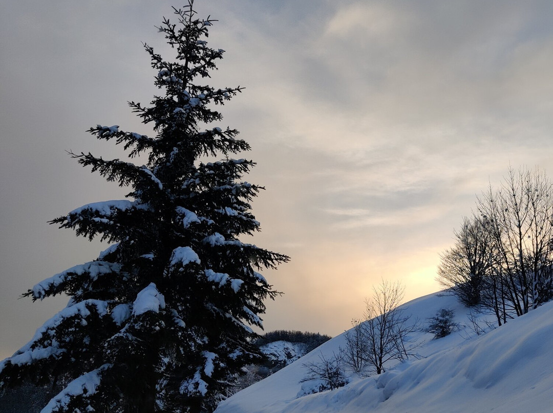 Lorsica旅游攻略图片