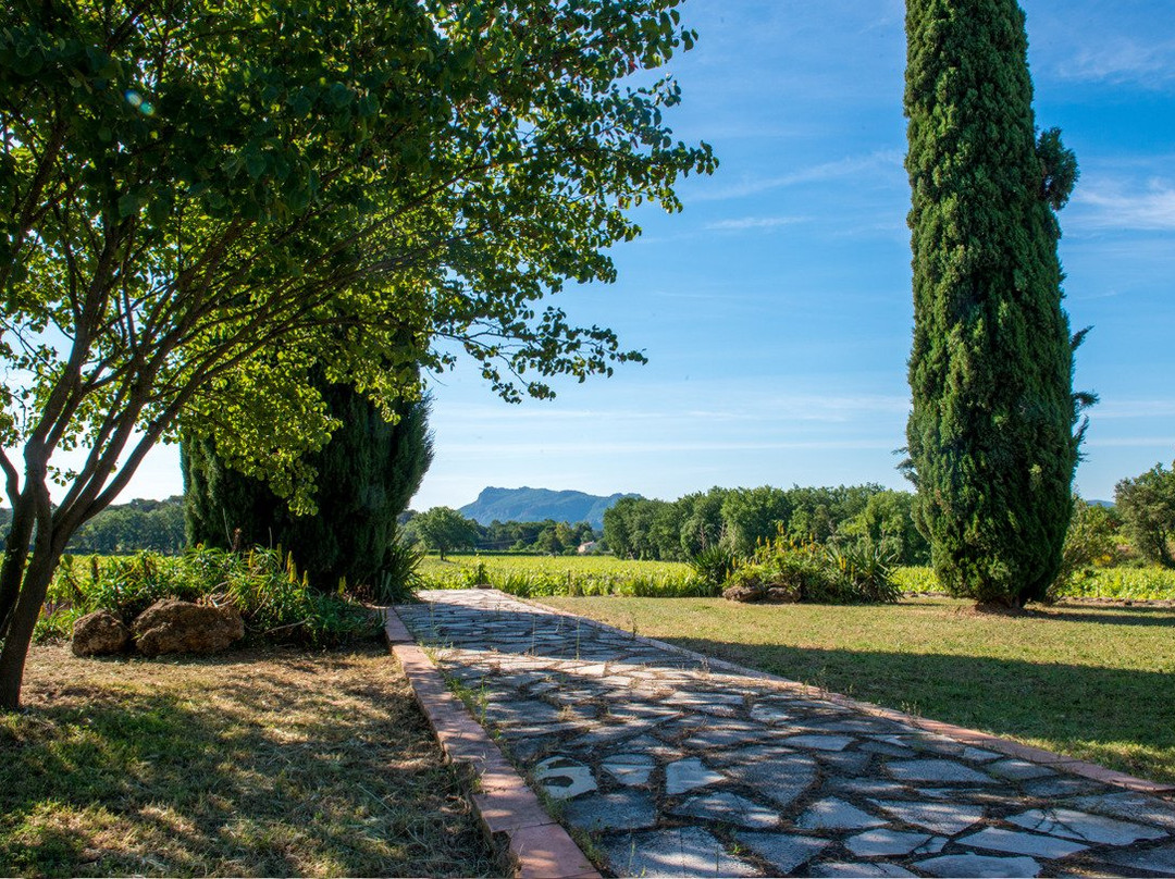 Château Rêva景点图片