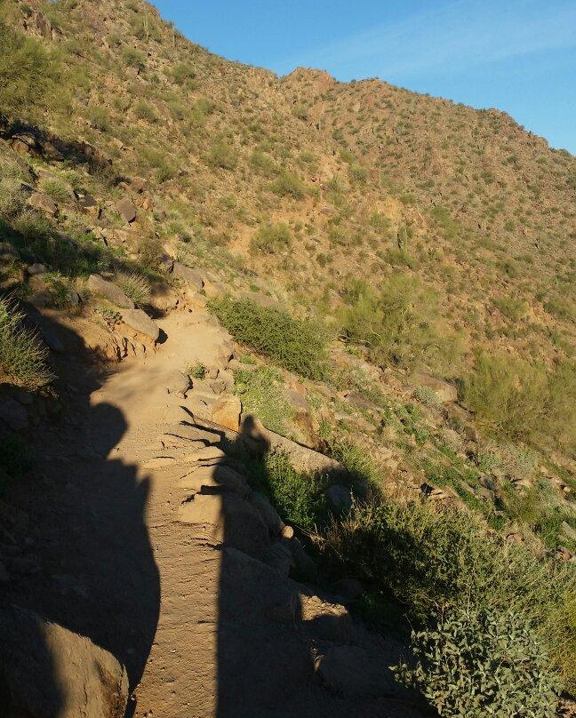 The Cibola Trail