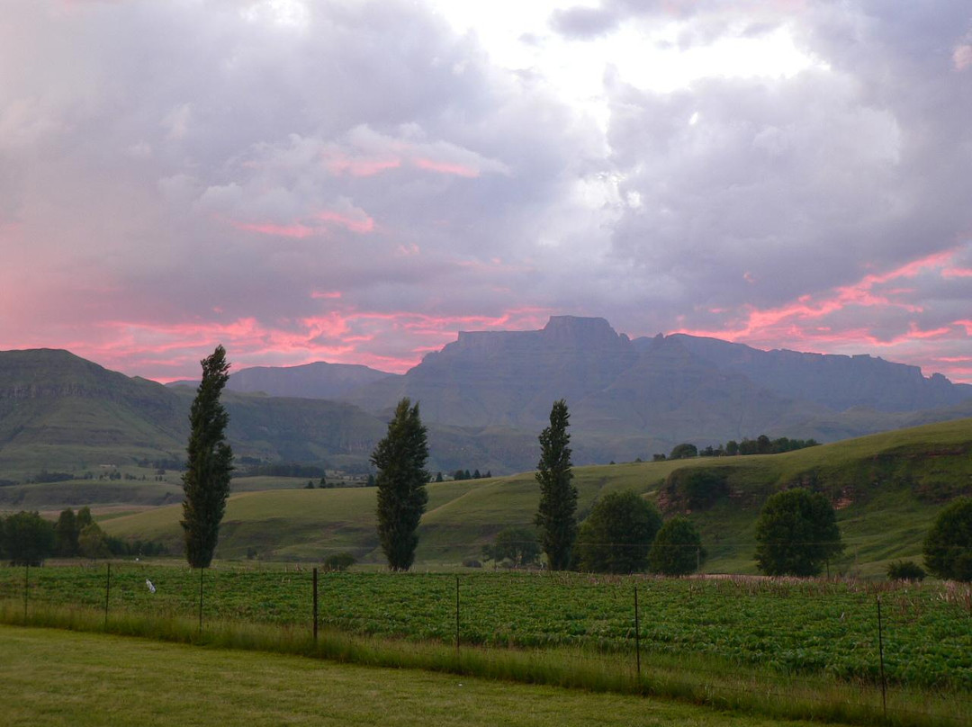 Mountain Splendour Eco-Resort