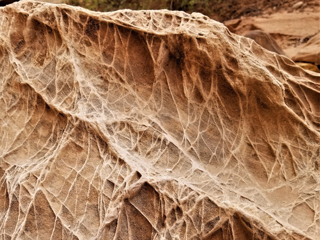 Cottonwood Canyon Road-卡纳布必去景点
