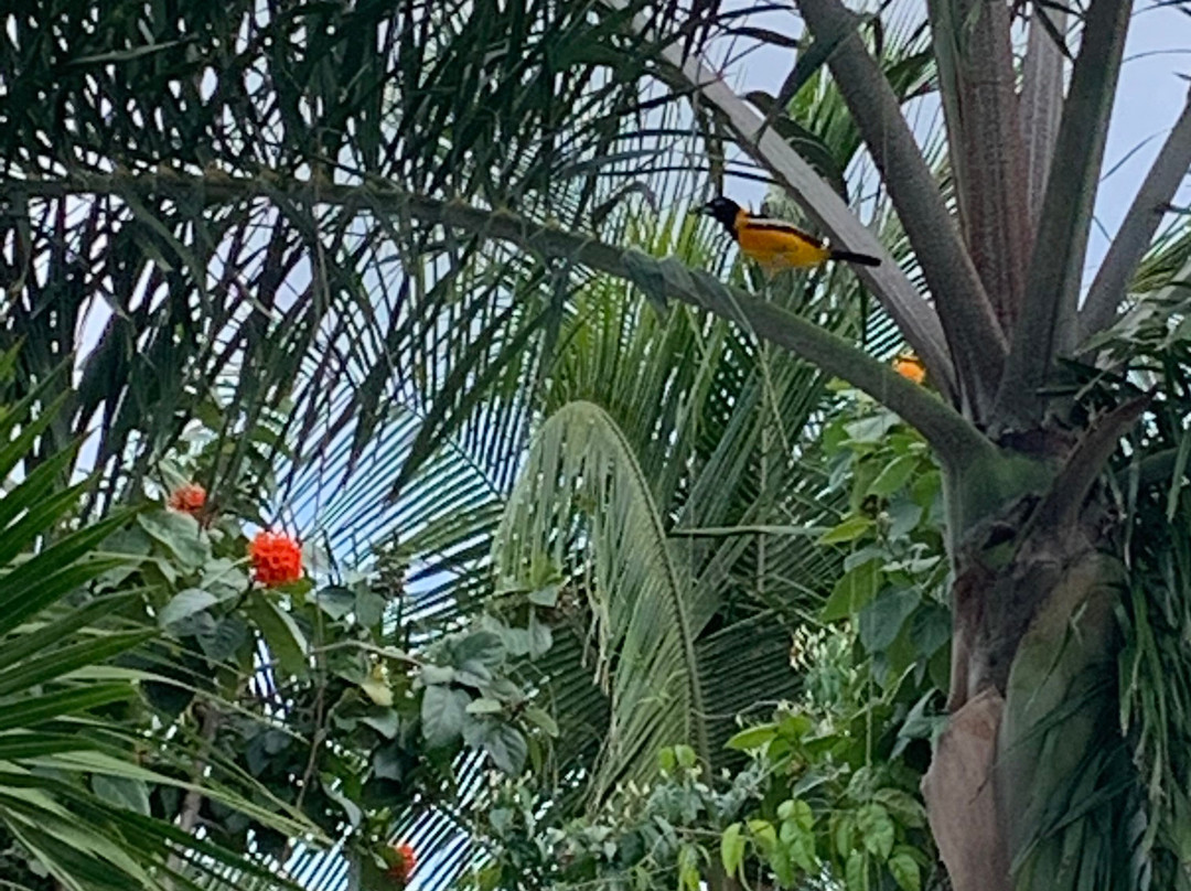 Hibiscus Beach House bed & breakfast主图