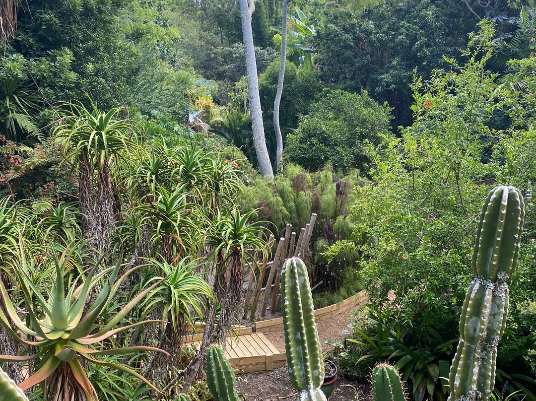 Wharepuke Sculpture Park景点图片