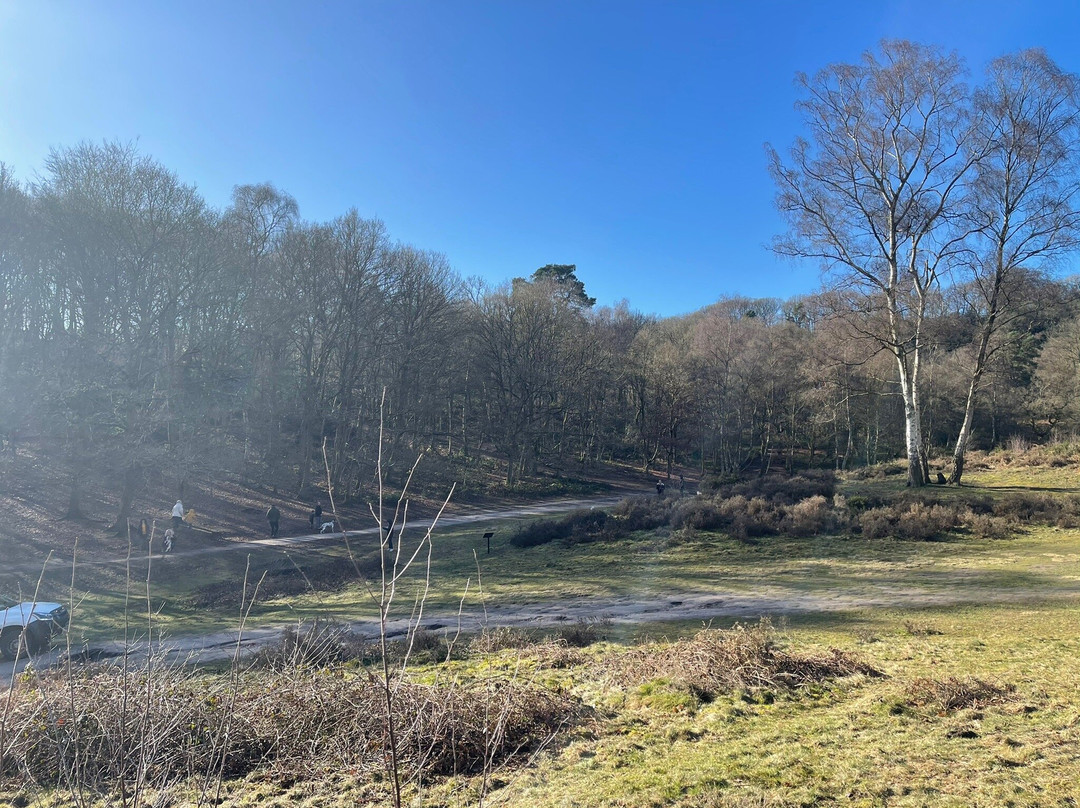 Habberley Valley Local Nature Reserve景点图片