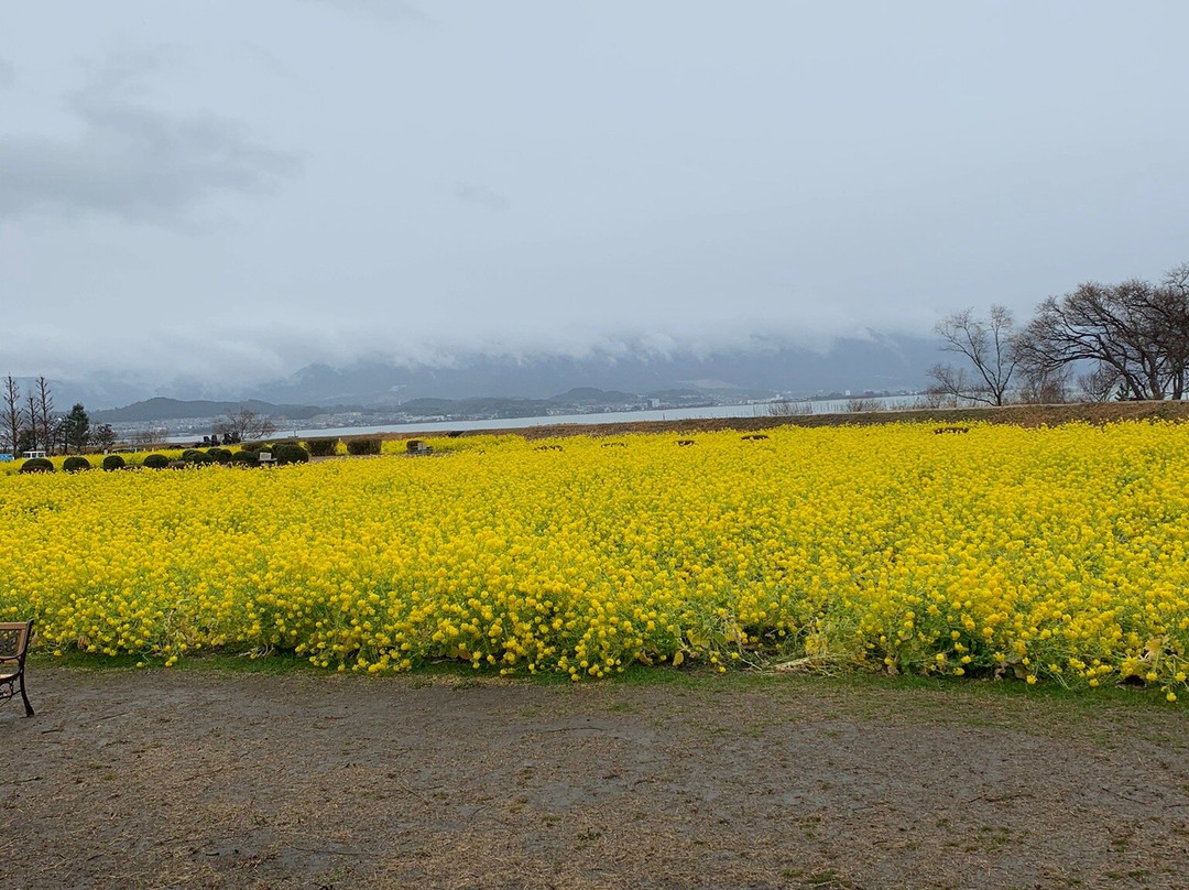 Nagisa Park-守山市必去景点