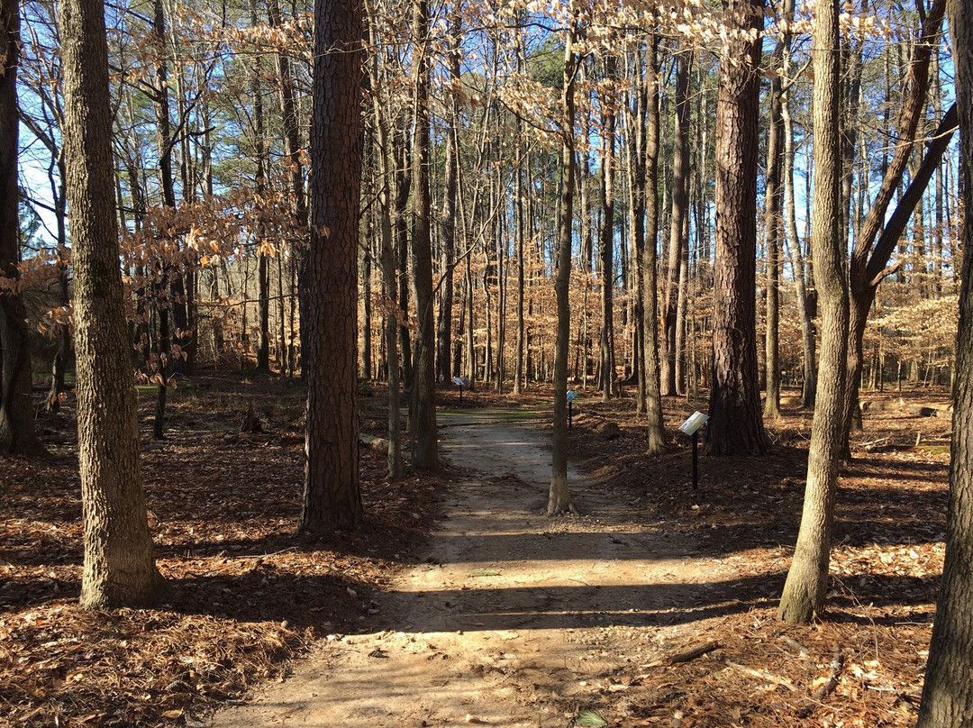 Shakerag Park-约翰斯克里克必去景点