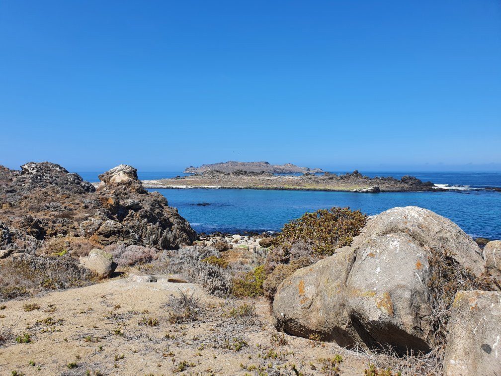 Isla Damas-拉塞雷纳必去景点