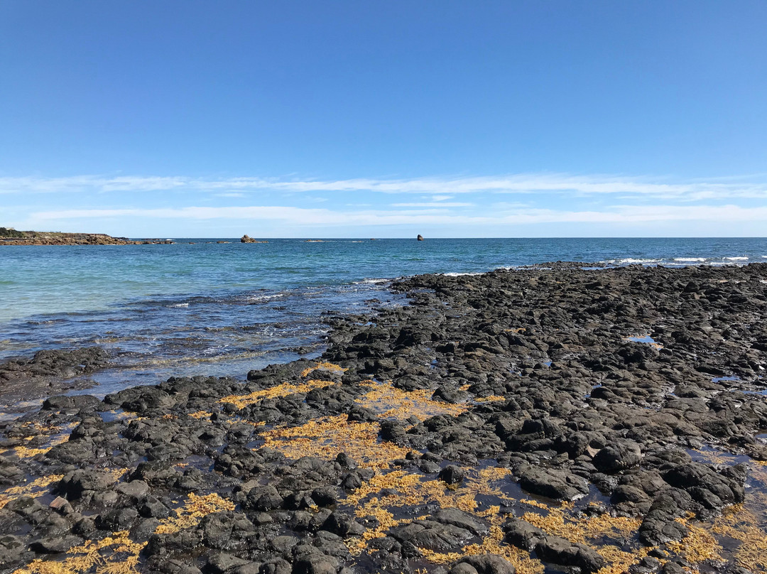 Johnsons Beach-企鹅岛必去景点