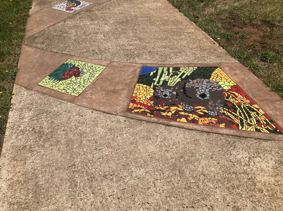 Mosaic Pathway-谢菲尔德必去景点