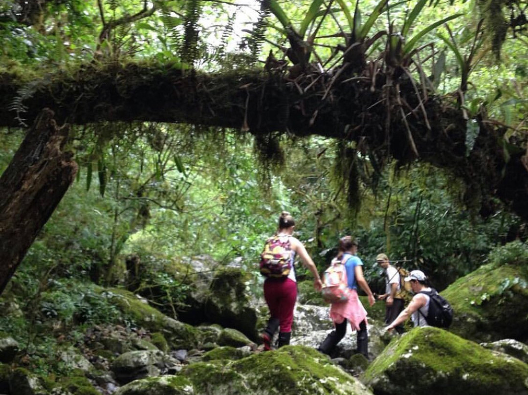 Bixo do Mato Ecoturismo-Jacinto Machado必去景点