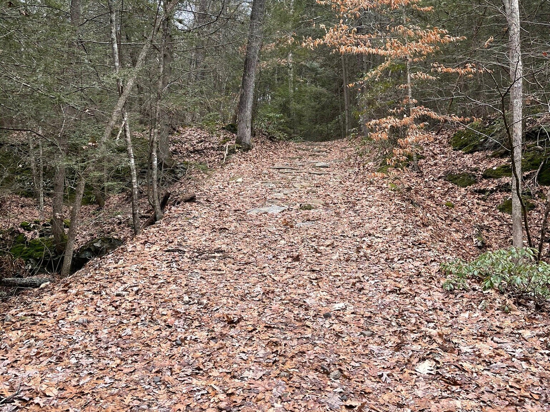 Steep Rock Preserve-Washington Depot必去景点