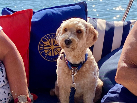 The Fizz Boat-达特茅斯必去景点