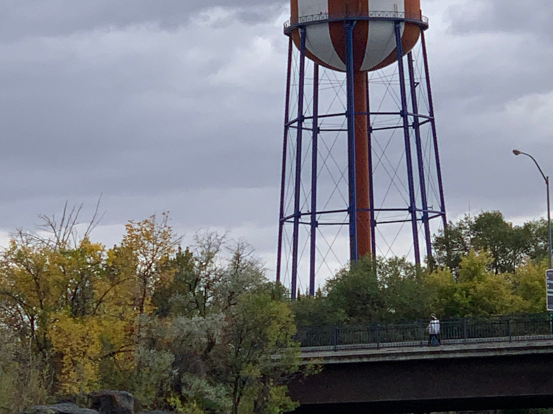 Snake River Ferry-爱达荷福尔斯必去景点