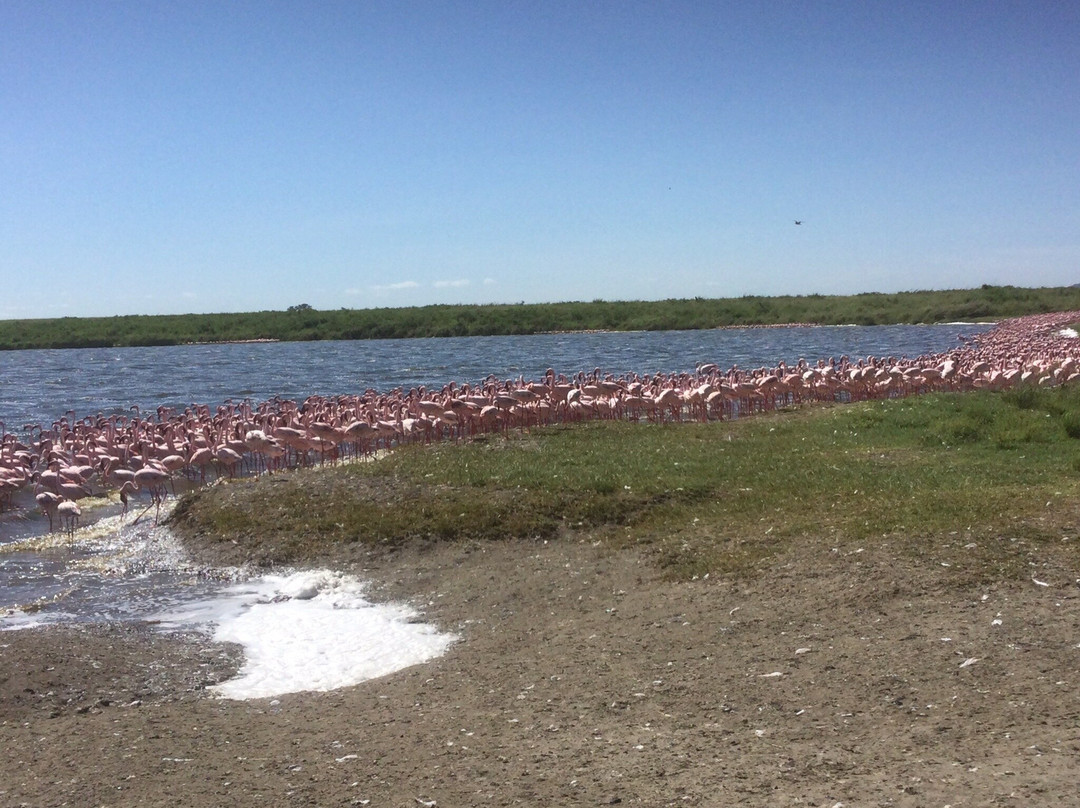 Godson Adventures Plains 2 Peaks-阿鲁沙必去景点