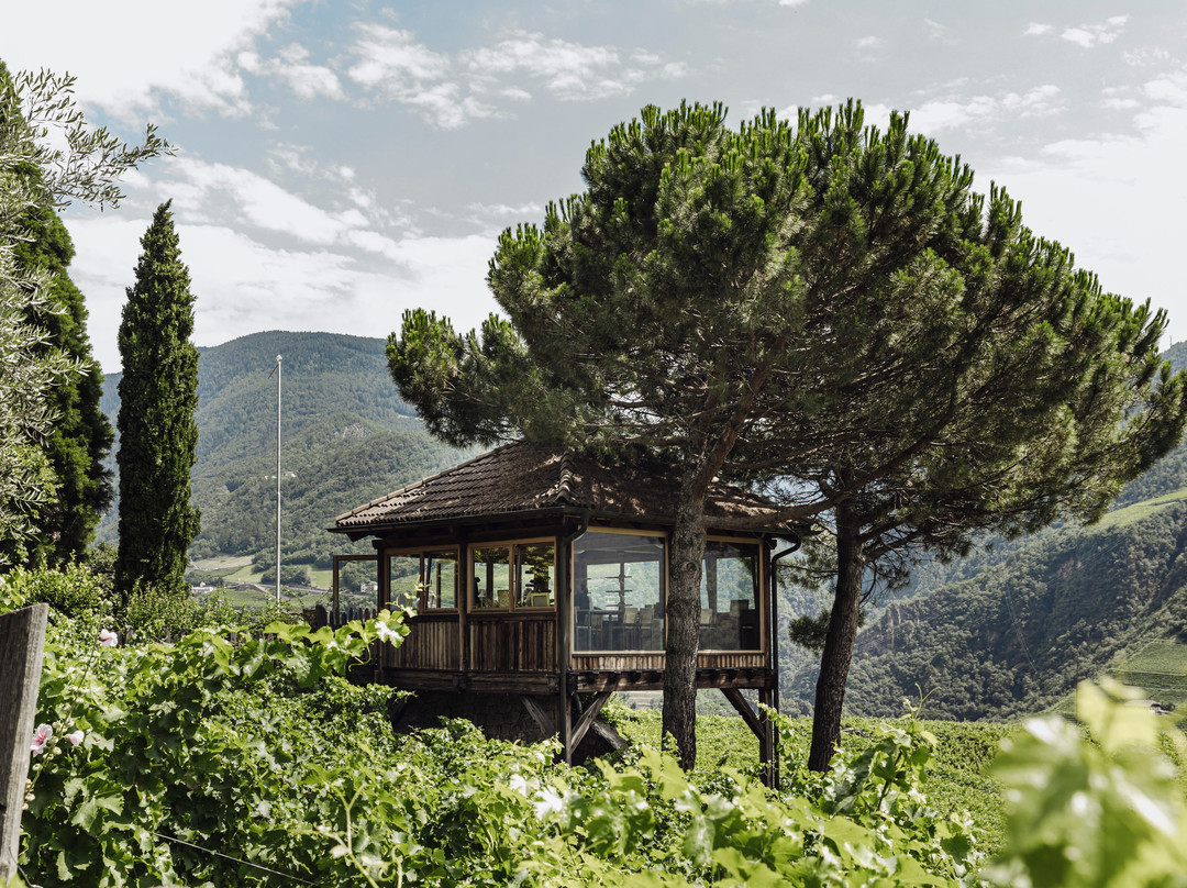 Weingut Loacker景点图片