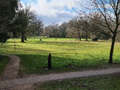 Lily Hill Park景点图片