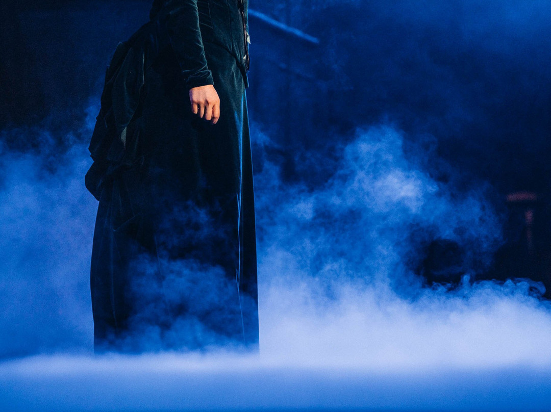 Savonlinna Opera Festival-萨翁林纳必去景点