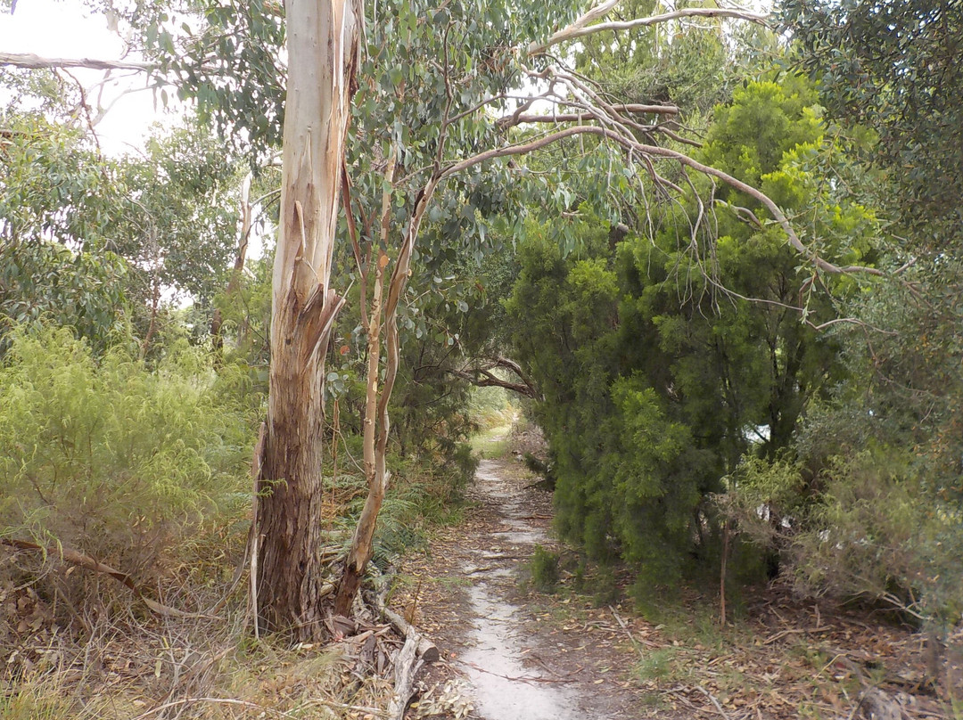 Long Hollow Heathland景点图片