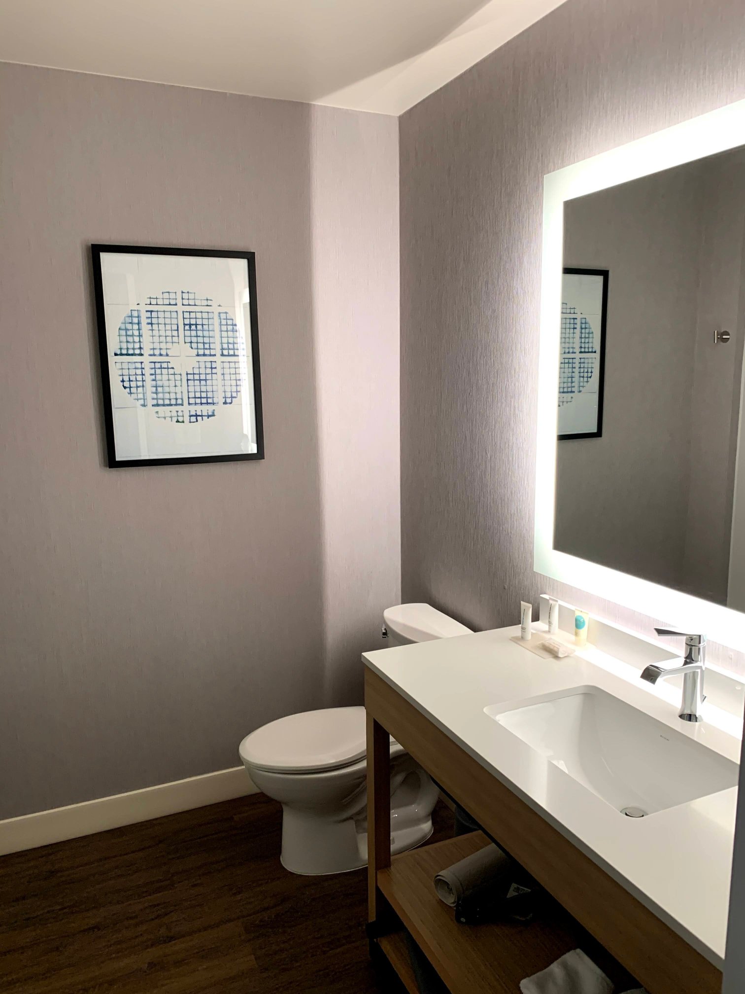 Hyatt Place Atlanta / Perimeter Center-浴室