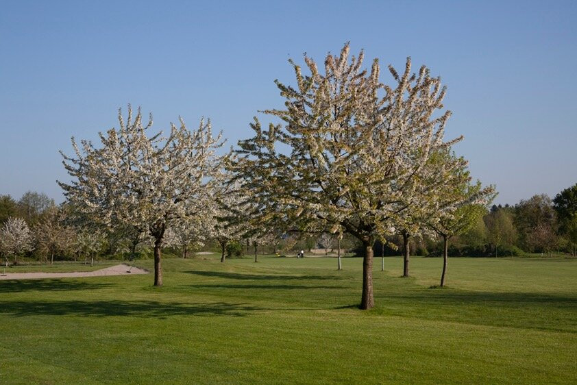 Fairway Golf und Sport-Prisdorf必去景点