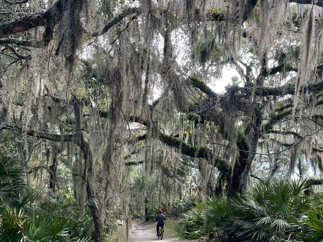 Jekyll Island Trail System-吉柯岛必去景点