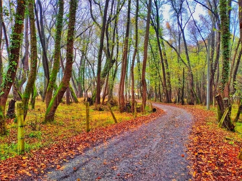 Inlice旅游攻略图片