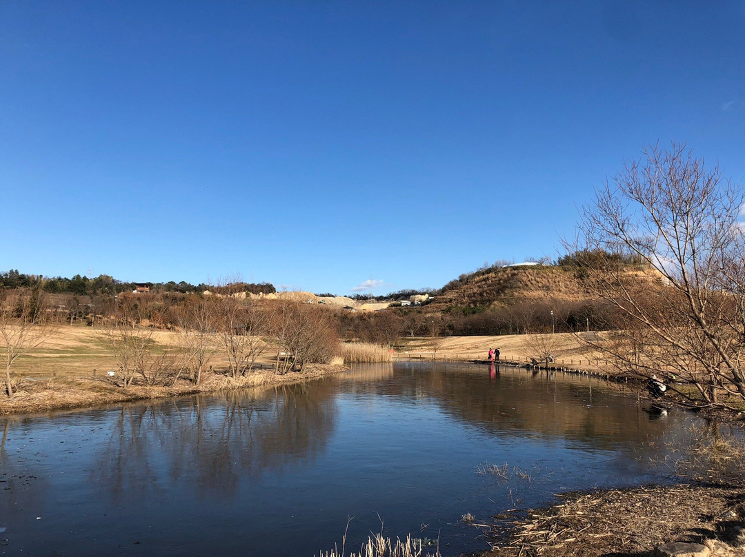 Kizugawa Exercise Park-城阳市必去景点