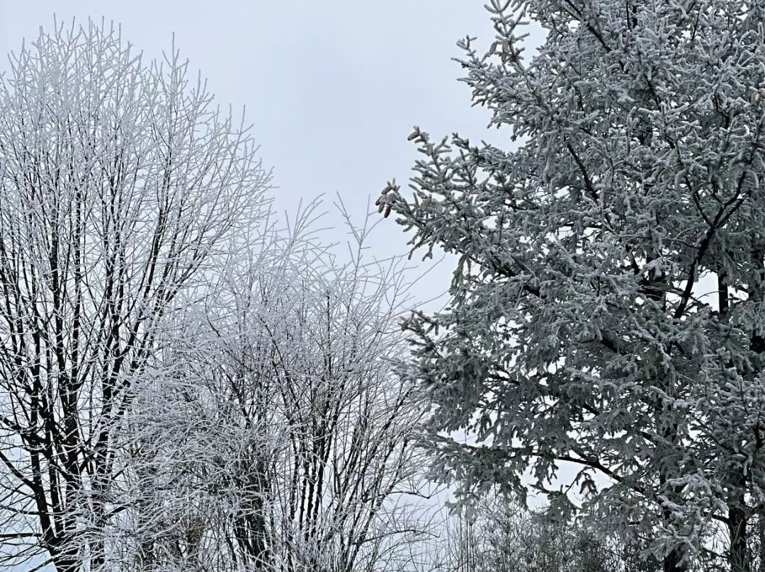丽江金茂璞修雪山酒店主图