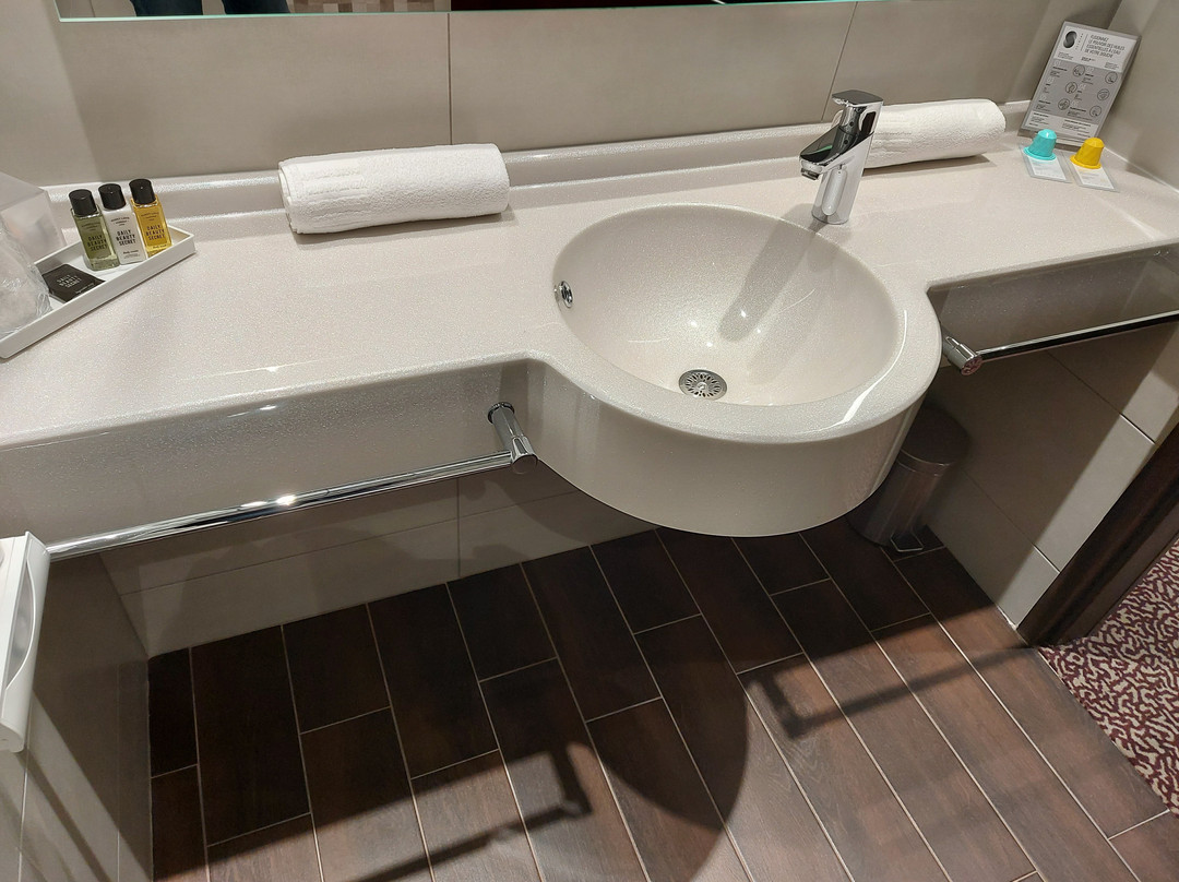 Hotel Schiltigheim Lac主图