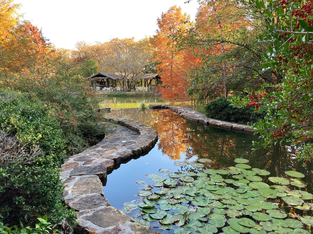 Clark Gardens Botanical Park景点图片