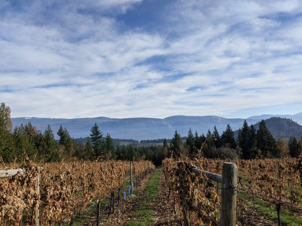 Larch Hills Winery景点图片