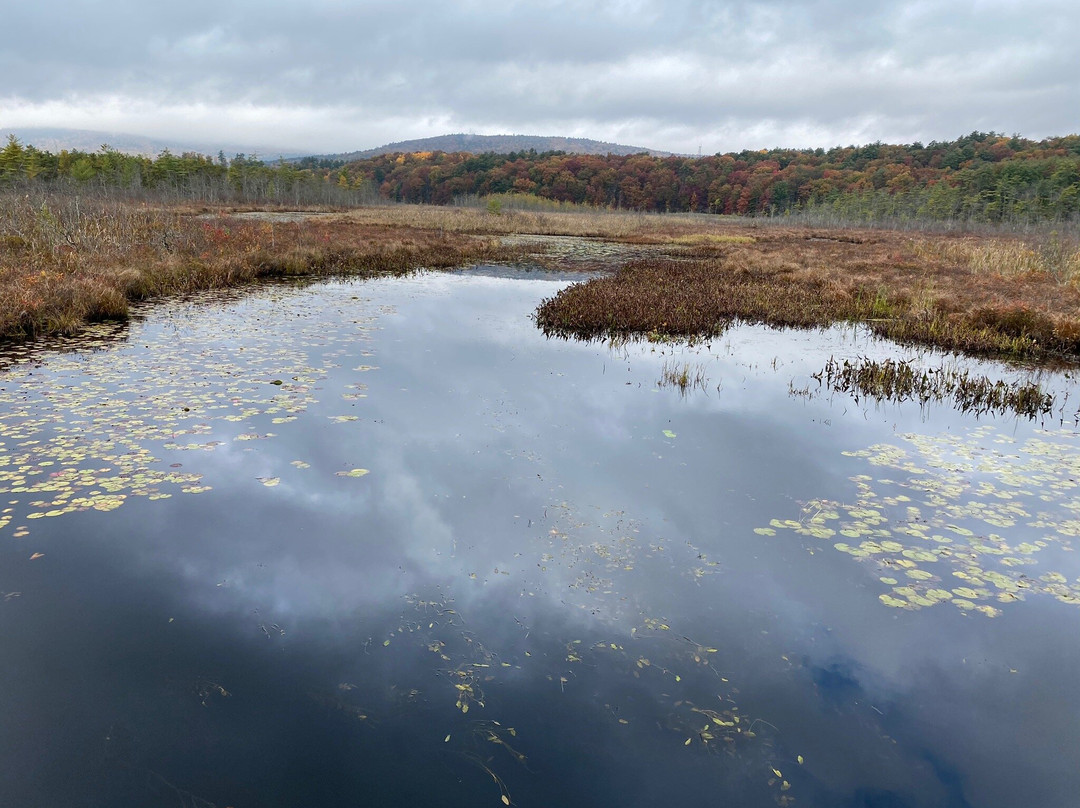 Warren County Bikeway-乔治湖必去景点