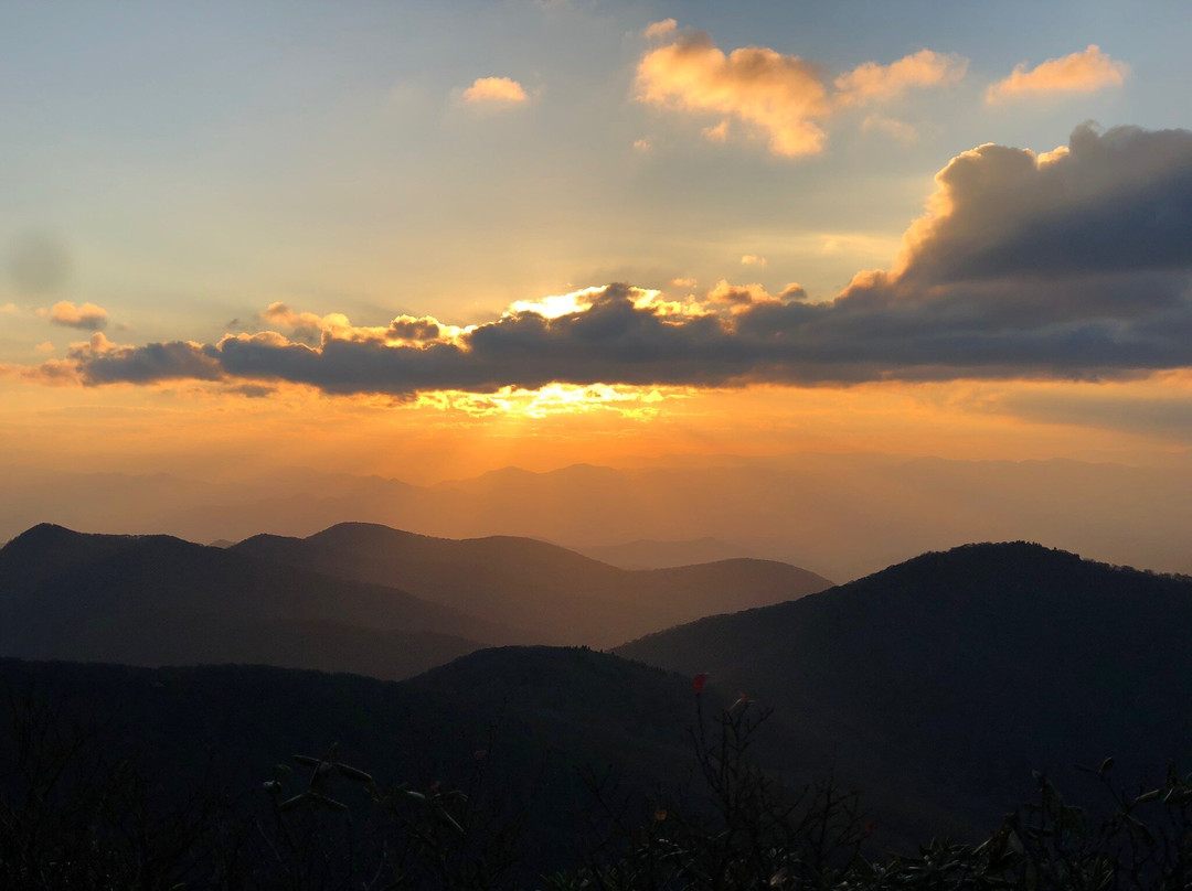 Craggy Gardens景点图片