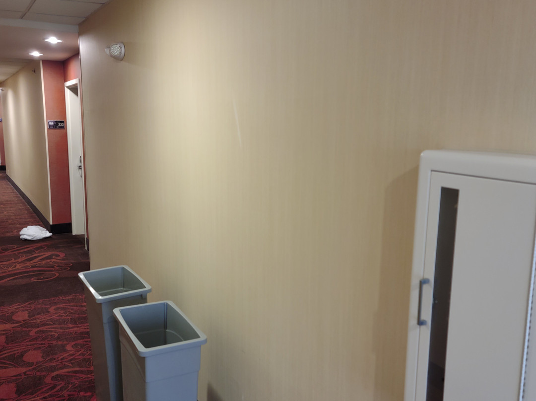 Hampton Inn & Suites Texarkana主图