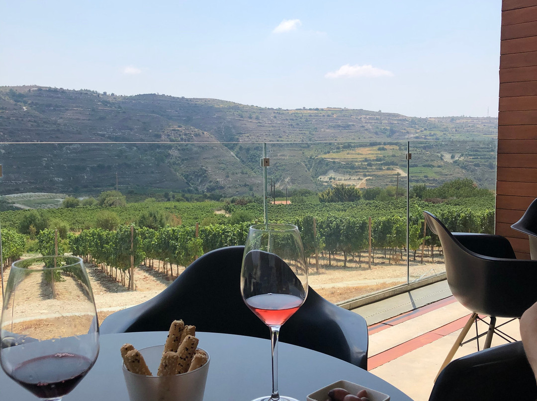 Vlassides Winery-Koilani必去景点