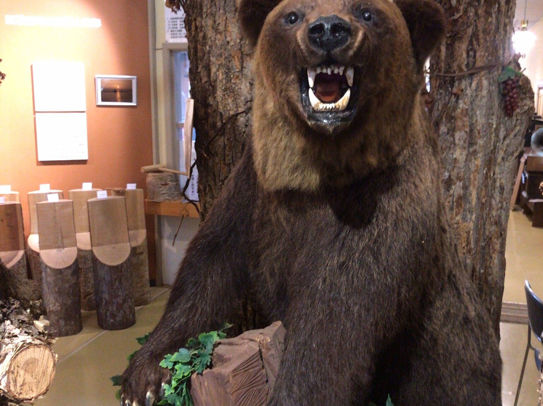 Tomamaecho Local History Museum-苫前町必去景点