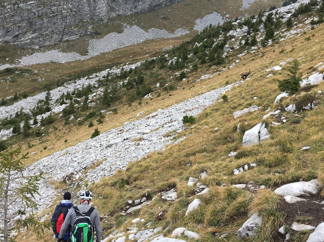 Via Ferrata Yves Pollet-Villard景点图片