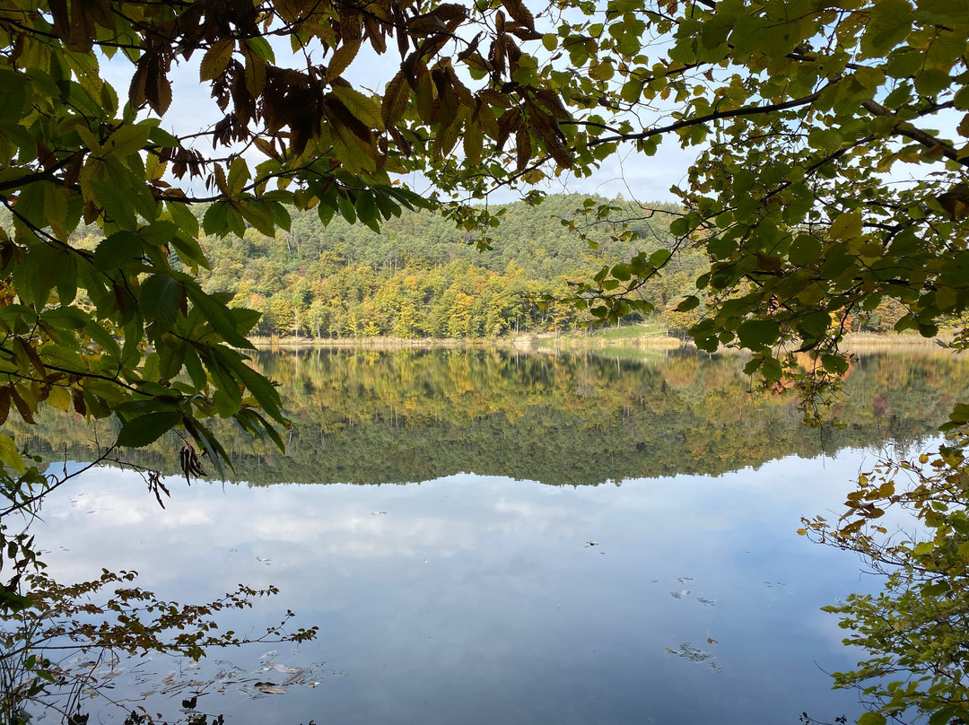 Lago Piccolo Laghi di Monticolo-Appiano sulla Strada del Vino必去景点