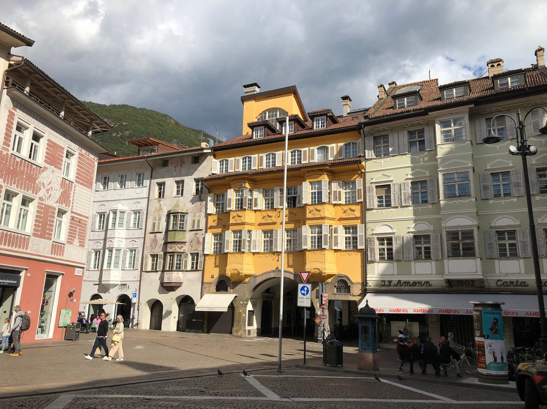 Piazza del Municipio景点图片