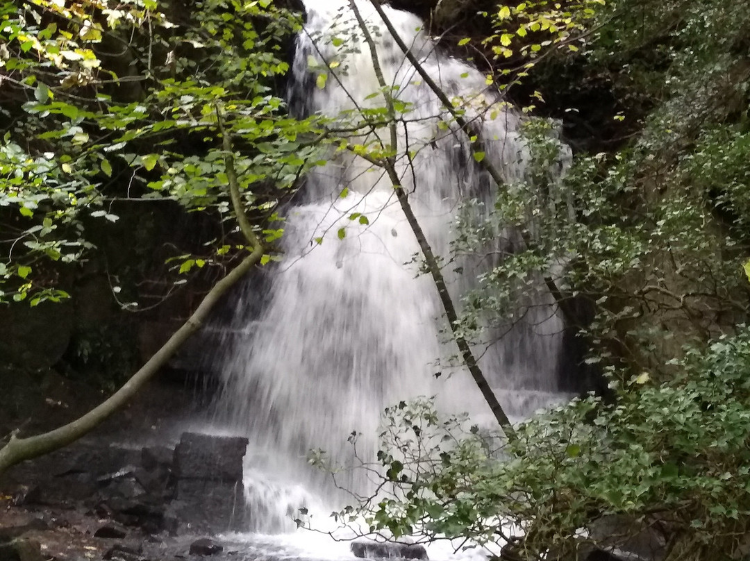 Harmby Waterfall-莱伯恩必去景点
