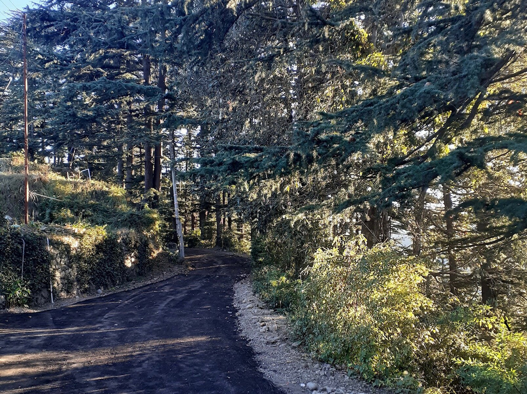 Hotel Woodrina主图