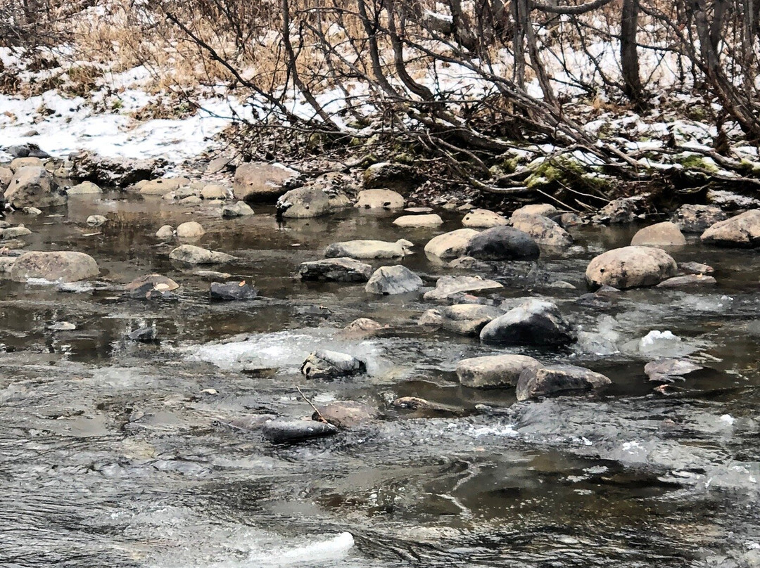 Tombstone Territorial Park-道森市必去景点