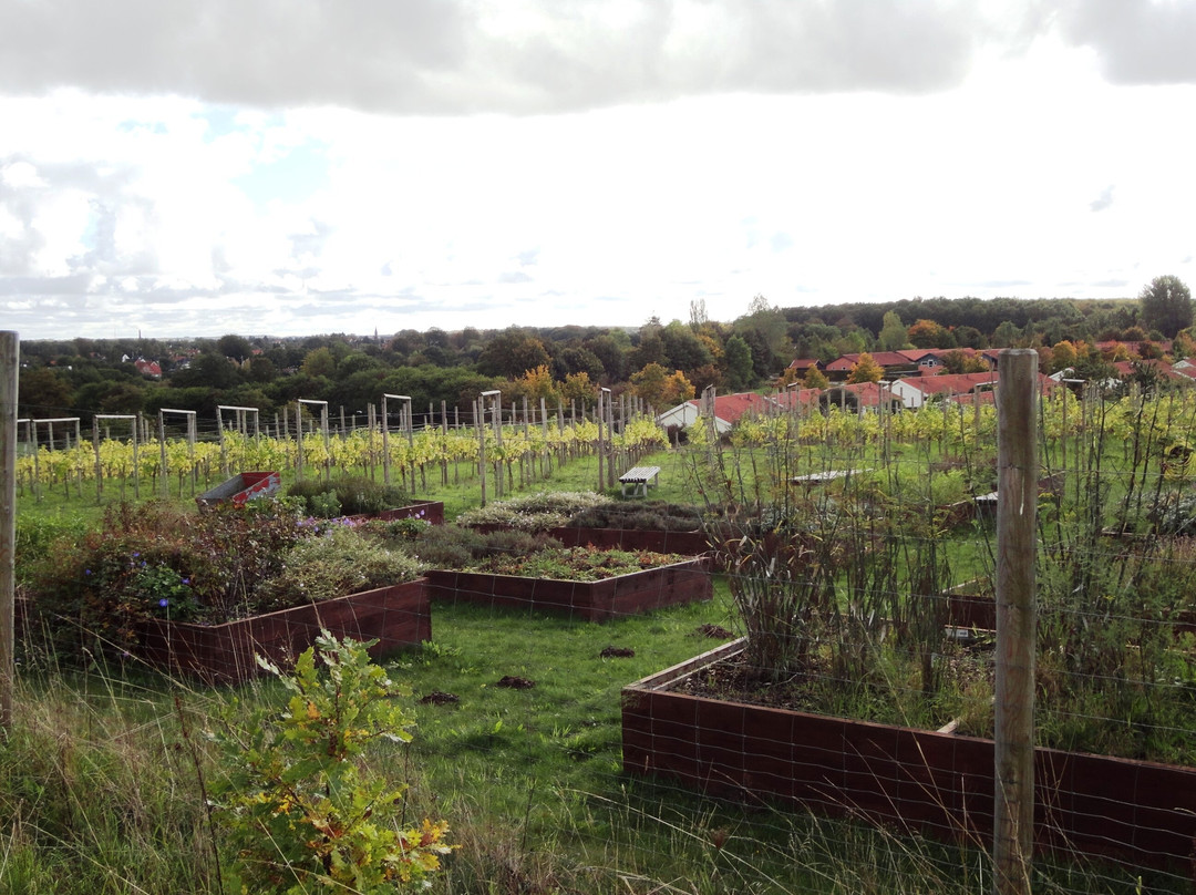 Thon Partner Hotel Sorø主图