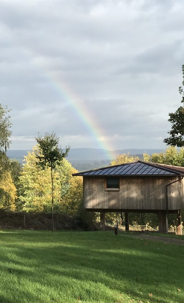 Hotel Waldquelle - Baumhaushotel Aerzen-浴室